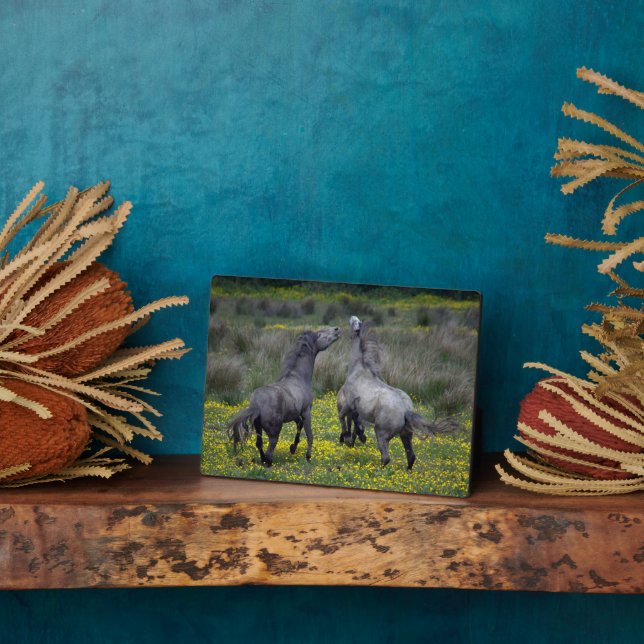 Two Horses Buck and Play Plaque (Side)