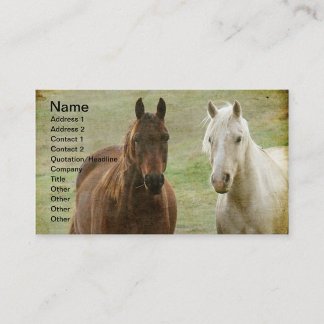 Two Horses Business Card (Front)