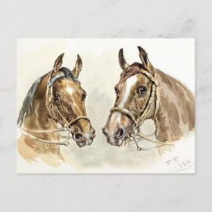Two Horses from "Studies in Animal Painting" Postcard