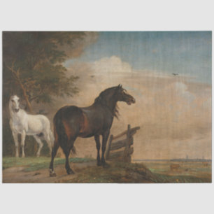 Two Horses in a Meadow Near a Gate (Paulus Potter) Tissue Paper