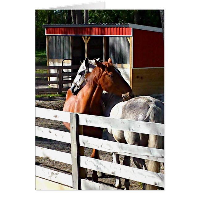 Two Horses in Love (Front)
