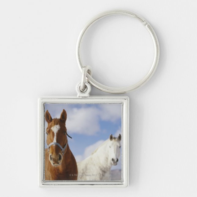 Two Horses Keychain (Front)