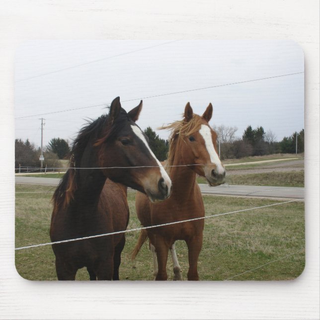 Two Horses Mouse Pad (Front)