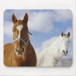 Two Horses Mouse Pad