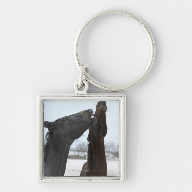 two horses neighing keychain (Front)
