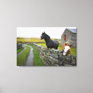 Two horses on farm in rural England Canvas Print