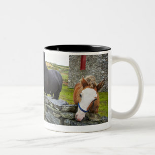 Two horses on farm in rural England Two-Tone Coffee Mug