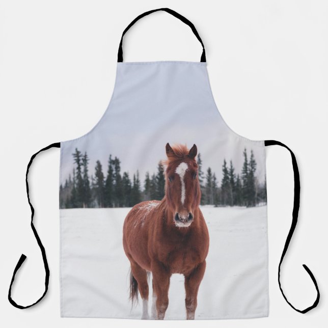 TWO HORSES ON SNOW APRON (Front)