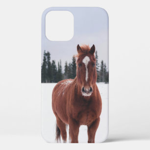 TWO HORSES ON SNOW iPhone 12 CASE