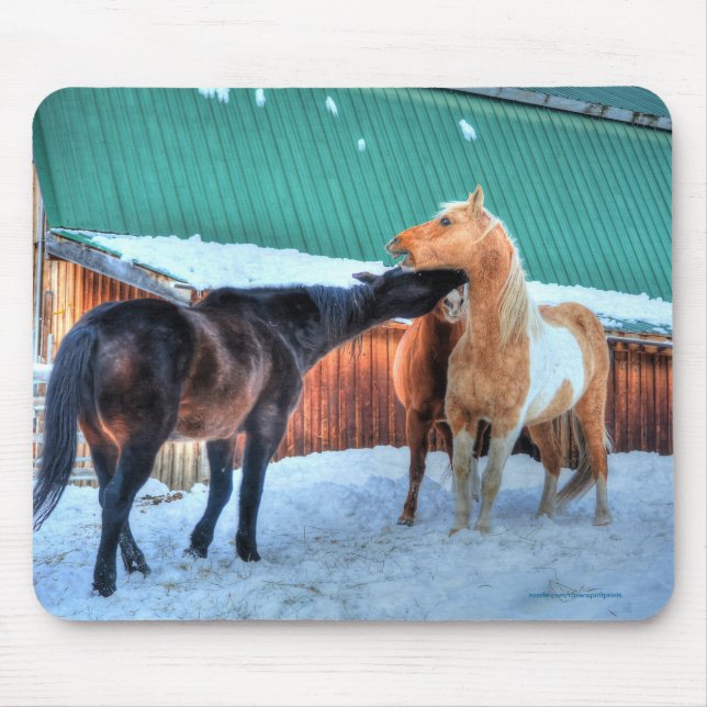 Two Horses Playfighting Funny Equine Photography Mouse Pad (Front)