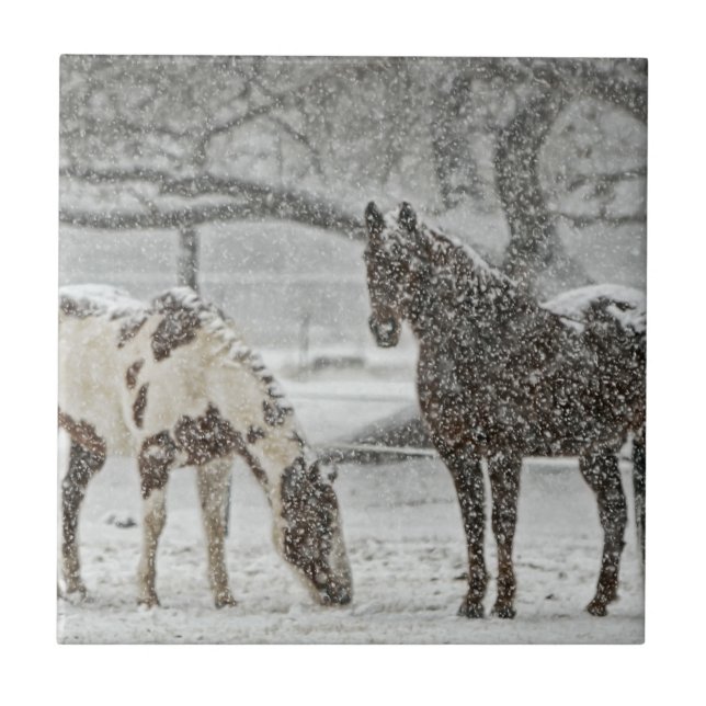 Two Horses Standing in Snowy Field in Falling Snow Tile (Front)