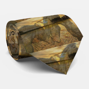 Two Horses Tie