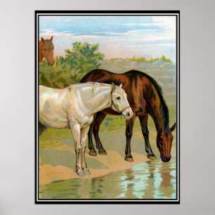 Two Horses Vintage Retro Print