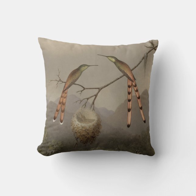 Two Hummingbirds with Their Young Throw Pillow (Front)