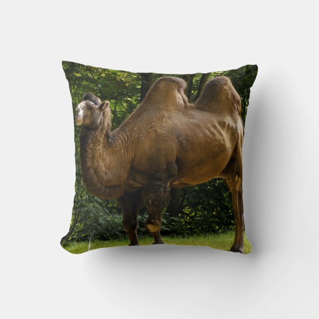 Two Humped Camel Pillow (Front)
