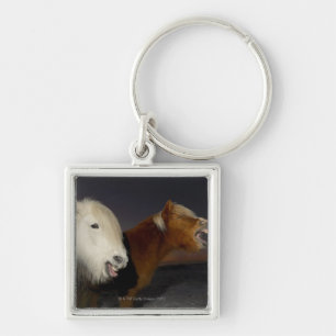 Two Icelandic horses Keychain