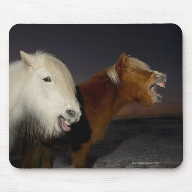 Two Icelandic horses Mouse Pad (Front)