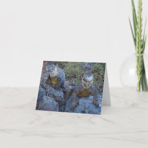 Two Iguanas Greeting Card