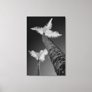 Two infrared palm trees. canvas print