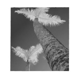 Two infrared palm trees. notepad