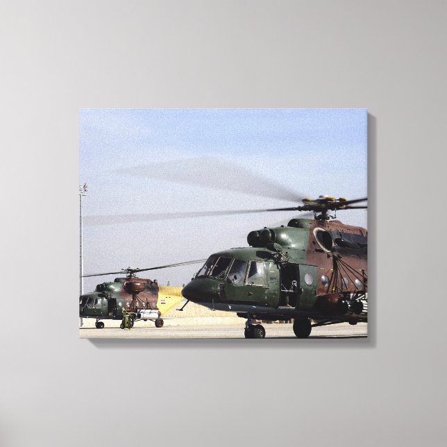 Two Iraqi Mi-17 Hip Helicopters Canvas Print (Front)
