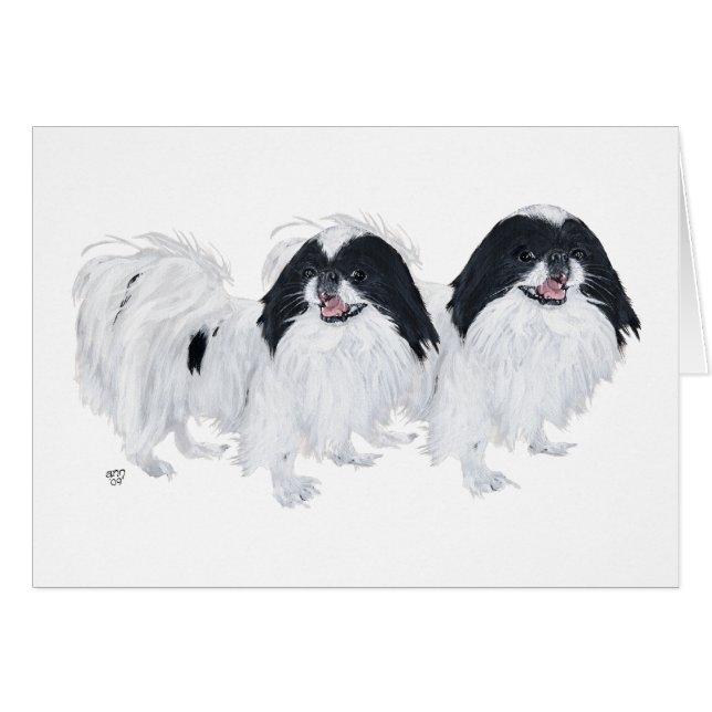 Two Japanese Chin Dogs (Front Horizontal)