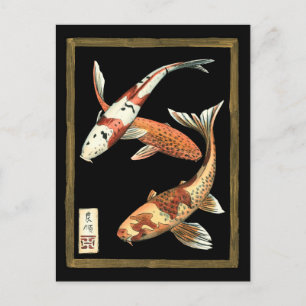Two Japanese Koi Goldfish on Black Background Postcard