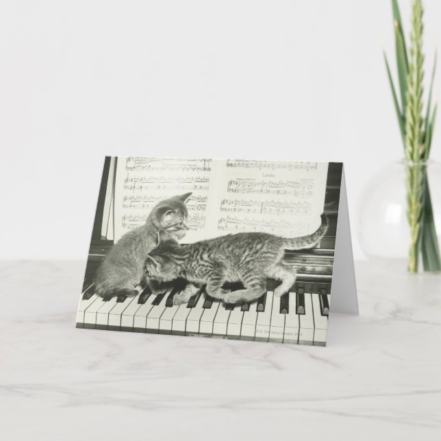Two kitten playing on piano keyboard, (B&W) Card (Front)
