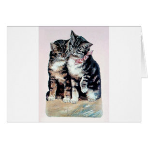 two kittens cats cute love adorable loving pets