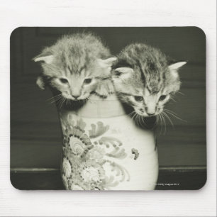 Two kittens hiding in vase, (B&W) Mouse Pad