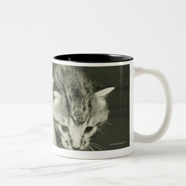 Two kittens hiding in vase, (B&W) Two-Tone Coffee Mug (Right)