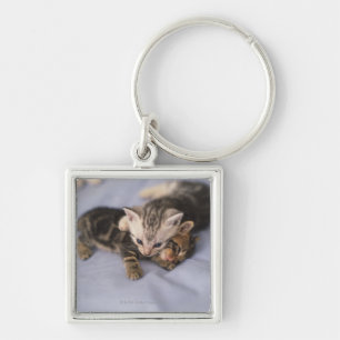 Two kittens keychain