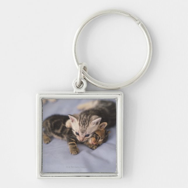 Two kittens keychain (Front)