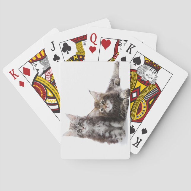 Two kittens of Maine coon cat Playing Cards (Back)