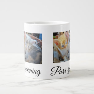 Two Kittens Photo Front, Back Heart Paw, Large Coffee Mug