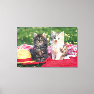 Two Kittens Sitting On A Red-Coloured Blanket Canvas Print