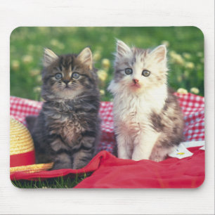 Two Kittens Sitting On A Red-Coloured Blanket Mouse Pad