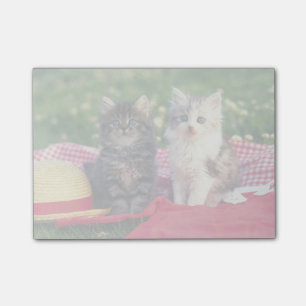 Two Kittens Sitting On A Red-Coloured Blanket Post-it Notes