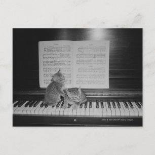 Two kittens sitting on piano keyboard by sheet postcard