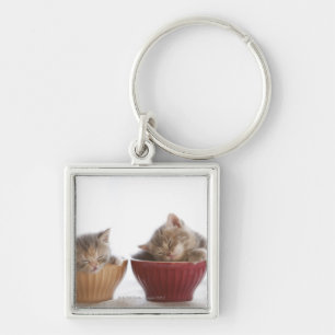 Two Kittens Sleeping in Bowls Keychain