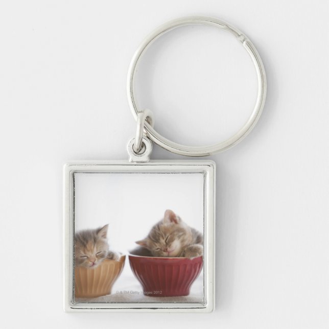 Two Kittens Sleeping in Bowls Keychain (Front)