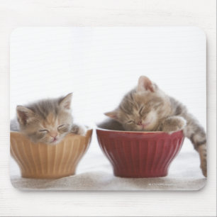 Two Kittens Sleeping in Bowls Mouse Pad