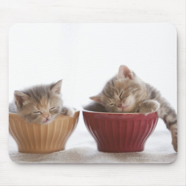 Two Kittens Sleeping in Bowls Mouse Pad (Front)