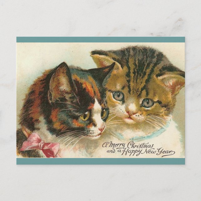 Two Kitties Christmas Holiday Postcard (Front)