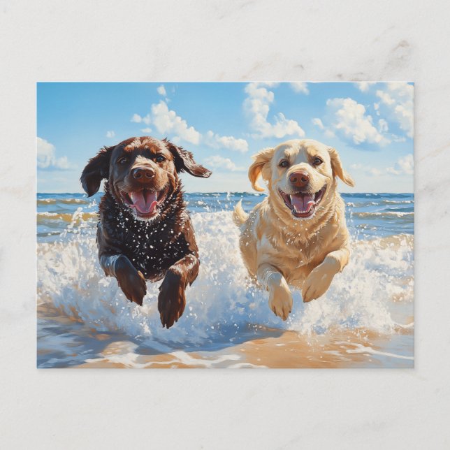 Two Labrador Retrievers on Beach Postcard (Front)