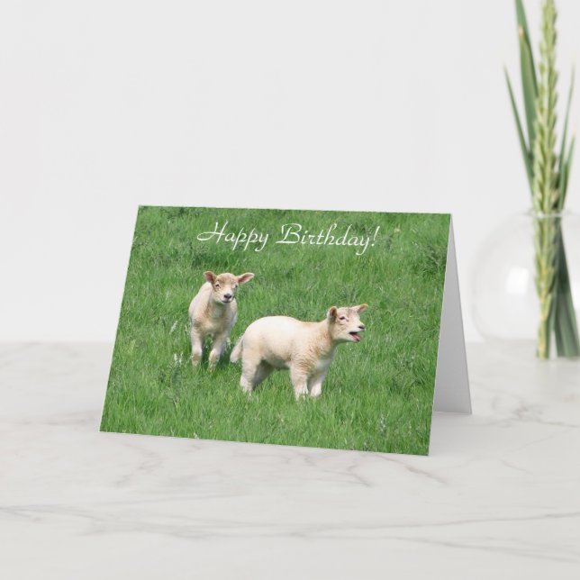 Two Lambs Card (Front)