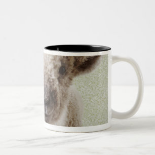 Two Lambs Indoors with Floral Wallpaper Two-Tone Coffee Mug