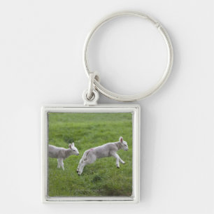Two Lambs Keychain
