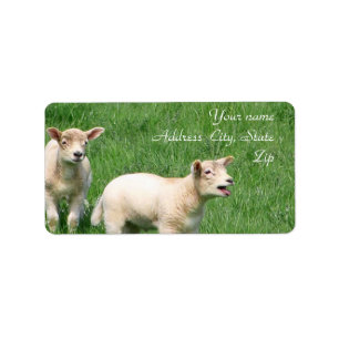 Two Lambs Label