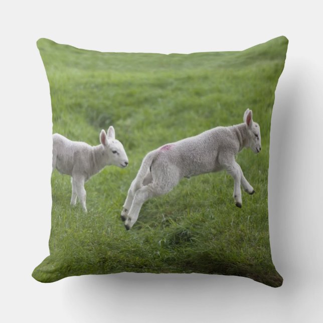 Two Lambs Throw Pillow (Front)
